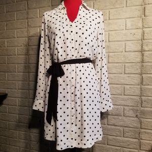 Long Sleeve Express Shirt Dress